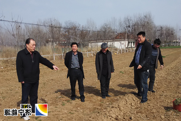 “书香园”配套项目-有机蔬菜园区建设工作正式启动