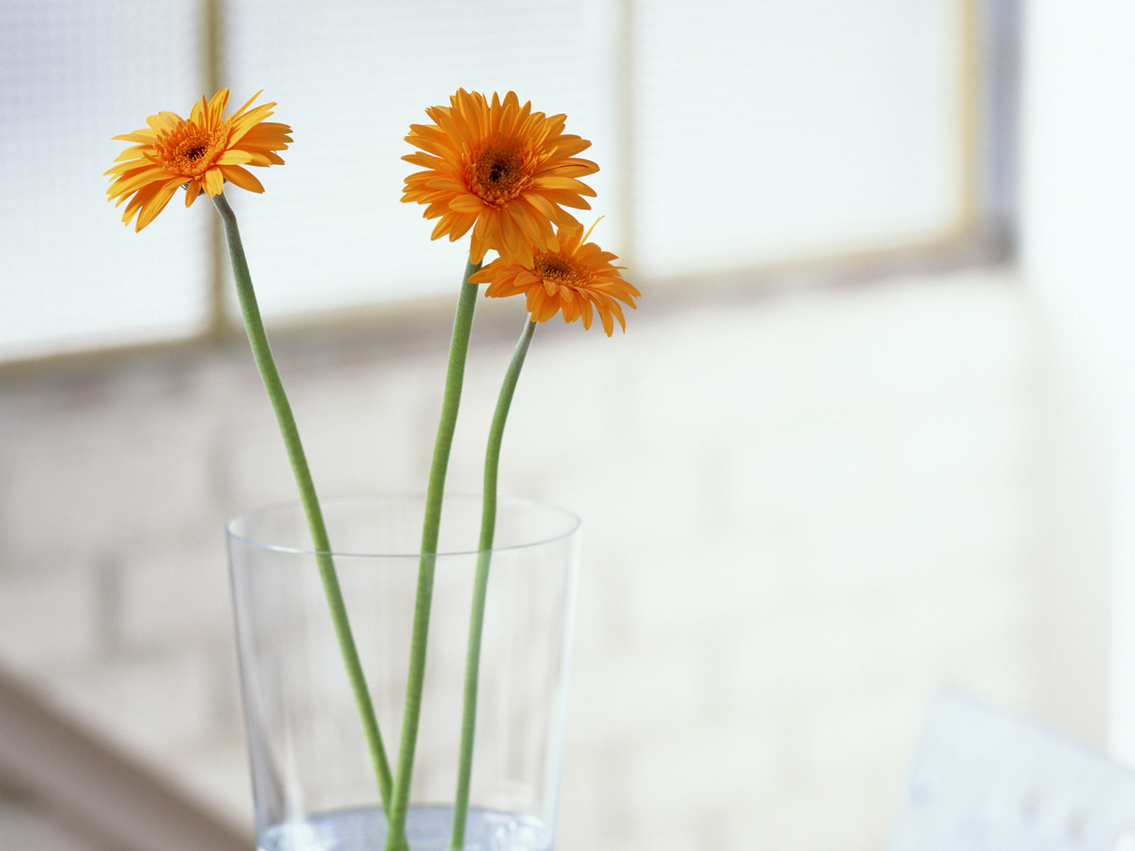 让美德开出花来（太平煤矿&nbsp;张娟）