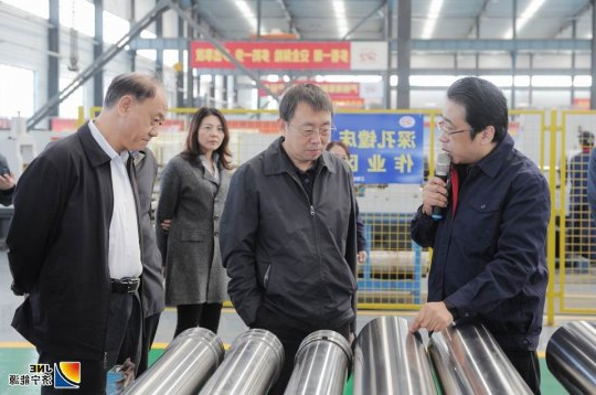 王贞军到海纳科技公司调研指导工作