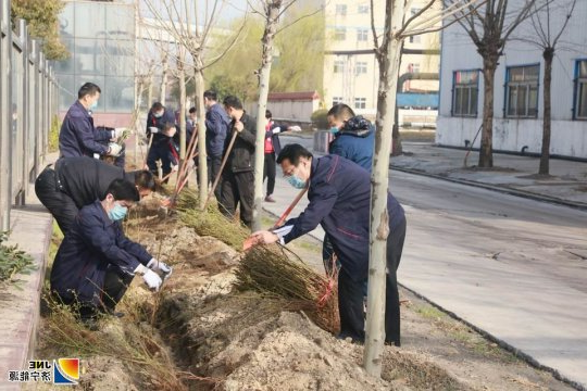 战疫情  添新绿  阳城煤电开展植树活动