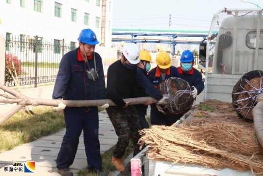 民生热能开展义务植树主题党日活动