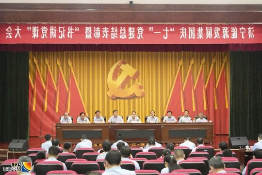 集团公司召开庆“七一”党建总结表彰暨“书记讲党课”大会