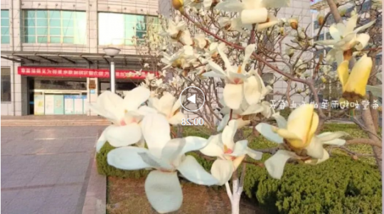 图说阳城春景丨人勤春来早