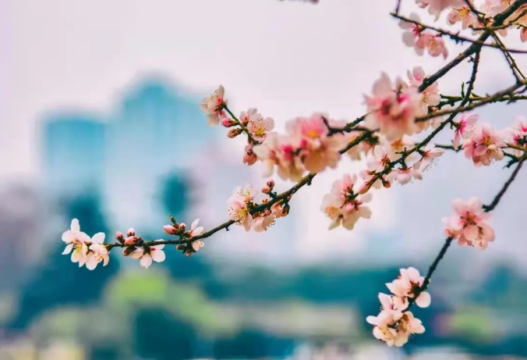 解放思想走在前 我来担当我来干