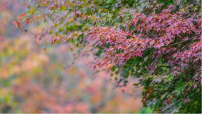 1667702074716935.png 微信截图_20221106103035.png