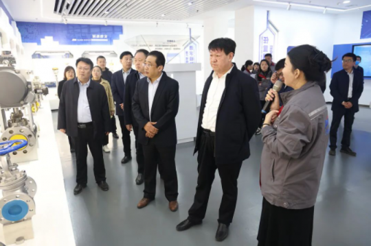 张胜明带队到精密制造产业园调研指导工作