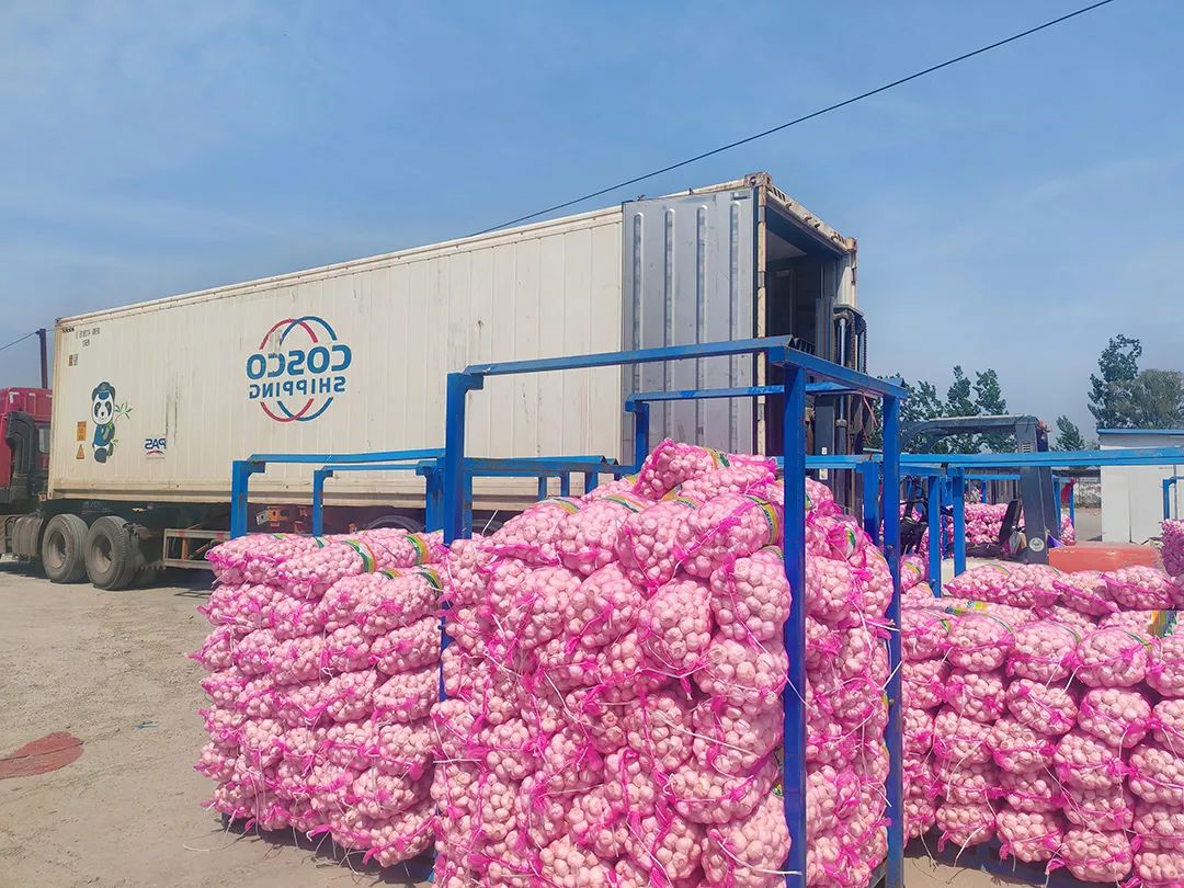 1746501061787266.jpg 03.jpg